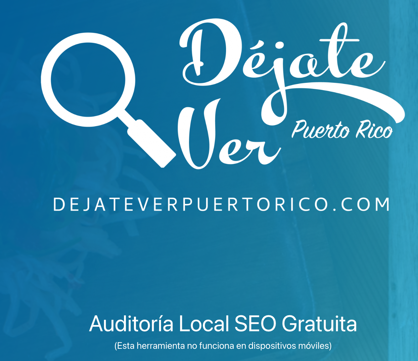 Professional Website Design Service 5 Professional Website Design Service
